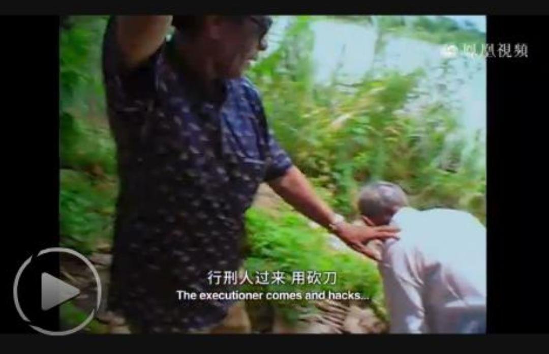 沉默之像 The Look of Silence