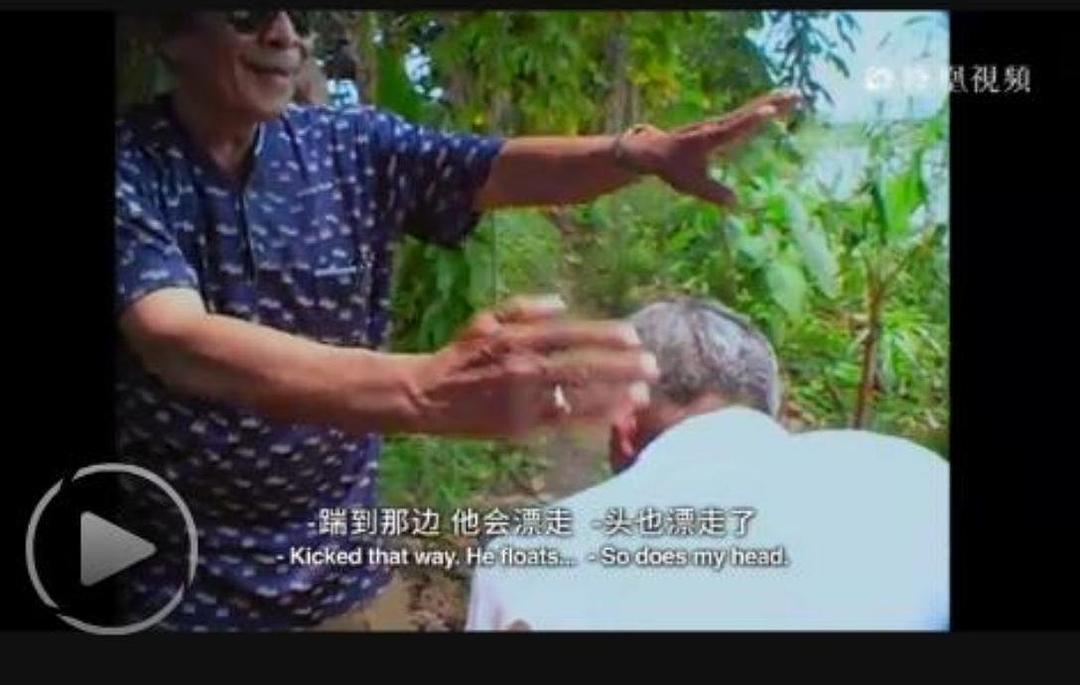 沉默之像 The Look of Silence