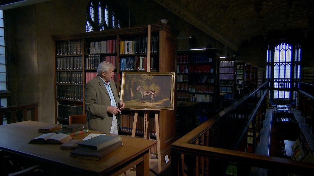 自然趣闻 第一季 David Attenborough's Natural Curiosities Season 1