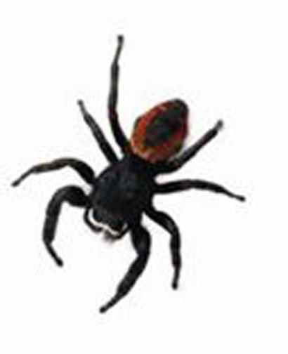 超级蜘蛛 Super Spider