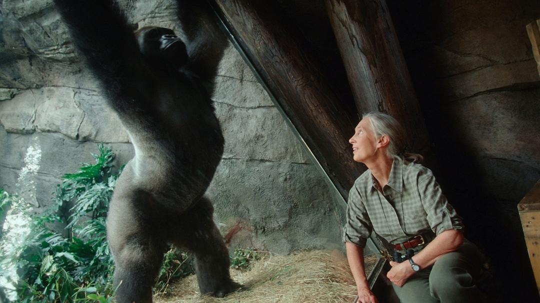 想象工程故事 The Imagineering Story