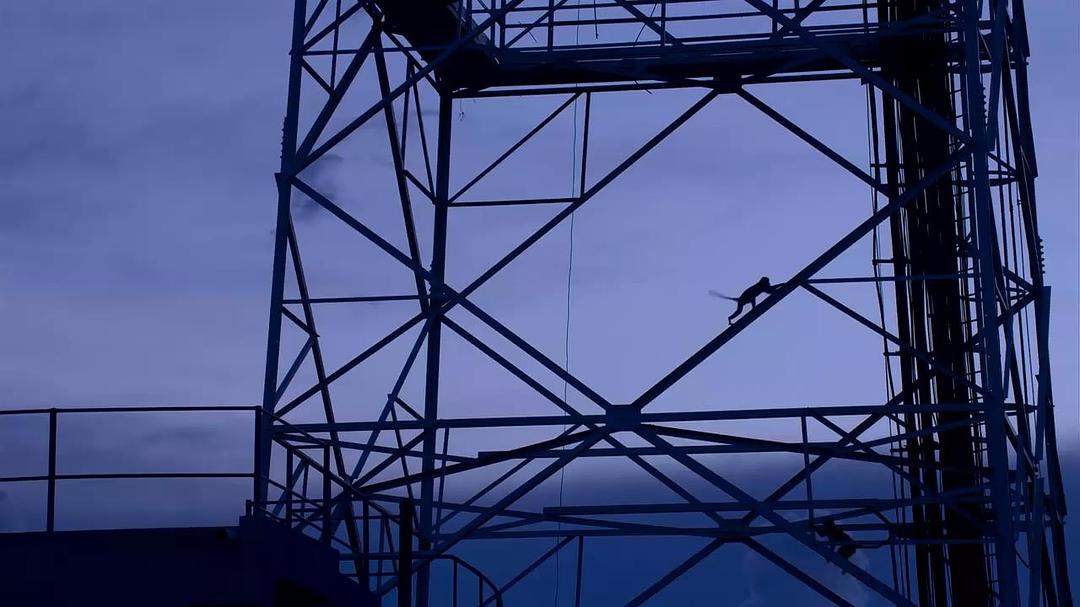 猴子王国 Monkey Kingdom