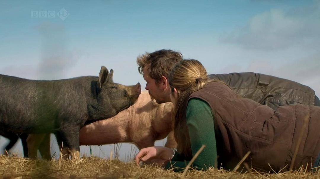 家禽家畜私生活 第一季 The private life of… Season 1