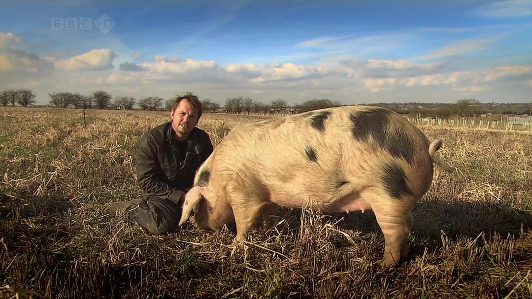 家禽家畜私生活 第一季 The private life of… Season 1