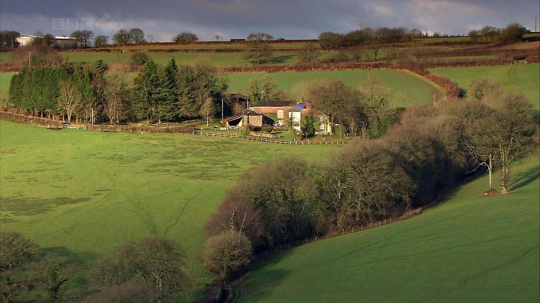 家禽家畜私生活 第一季 The private life of… Season 1