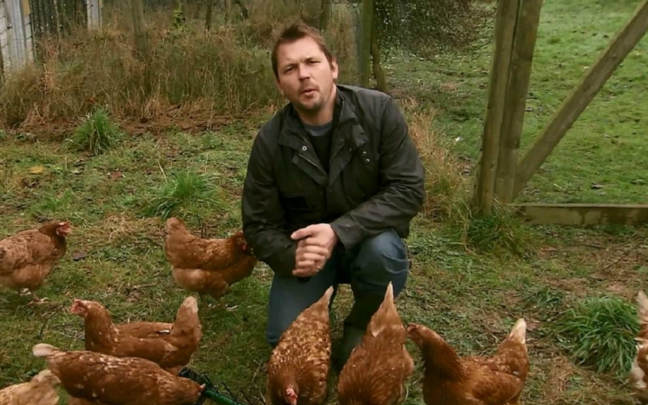 家禽家畜私生活 第一季 The private life of… Season 1