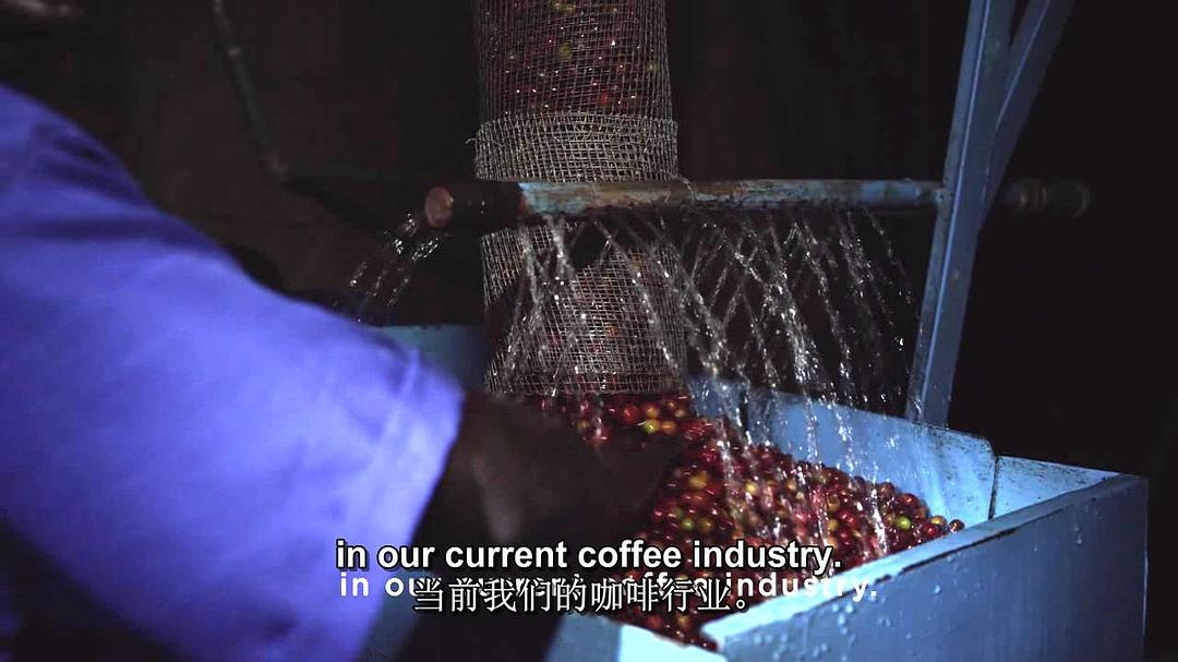 一部关于咖啡的电影 A Film about Coffee
