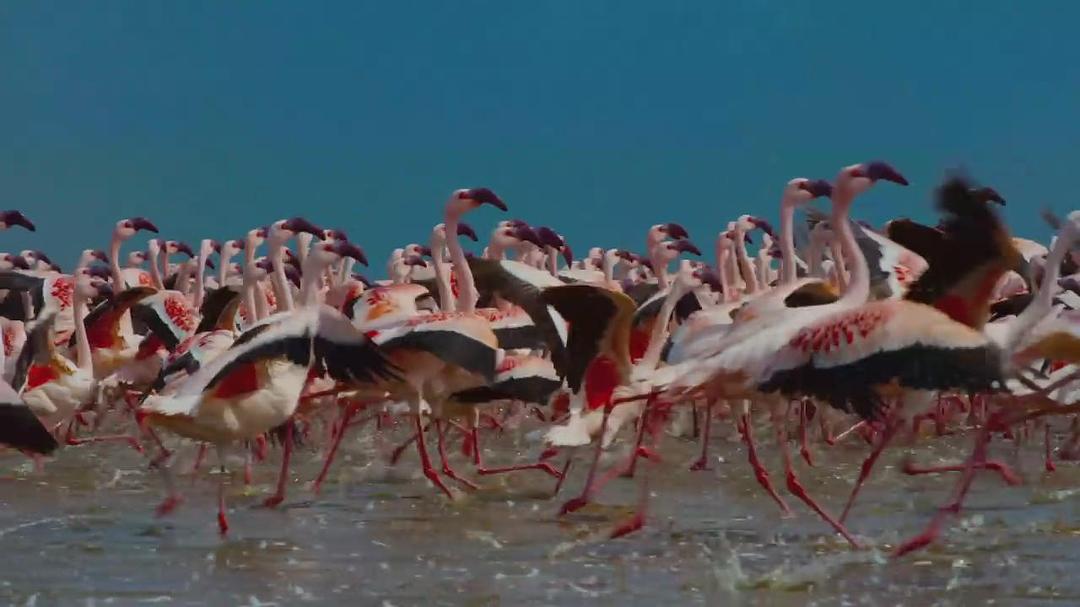 魔法王国 Enchanted Kingdom 3D