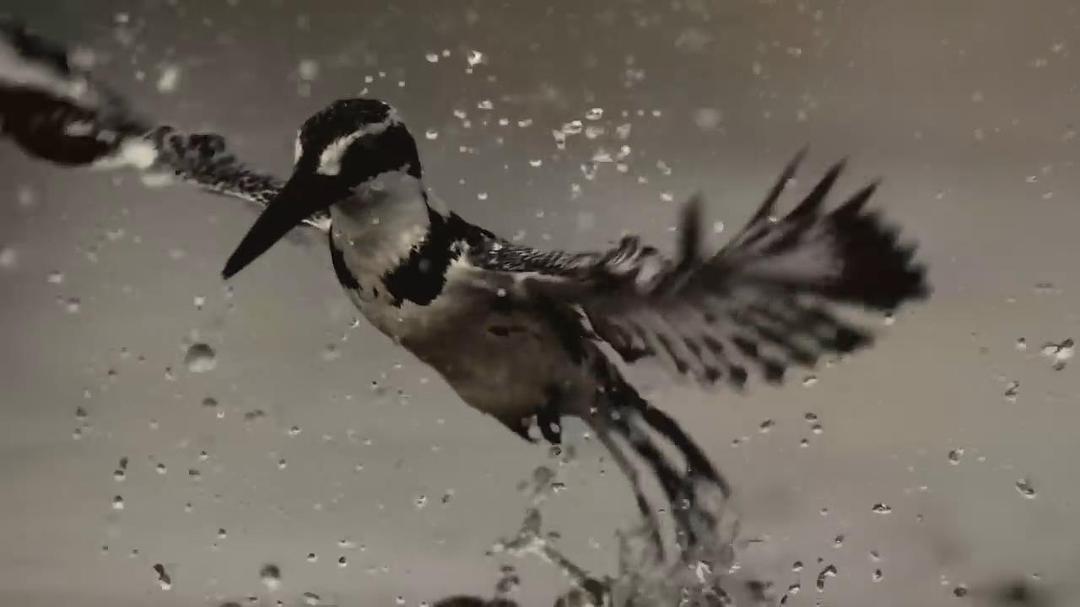 魔法王国 Enchanted Kingdom 3D