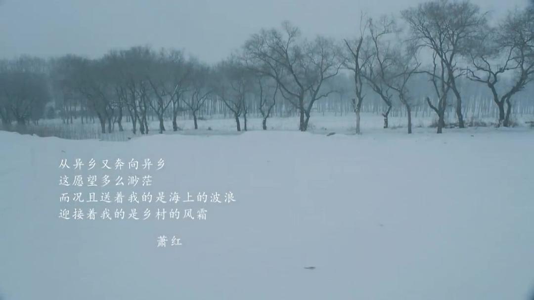 她认出了风暴:萧红和她的黄金时代