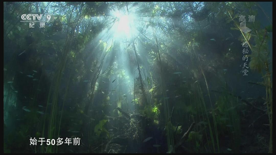 隐秘的天堂 Jungle d'eau douce – la vie secrète des gravières