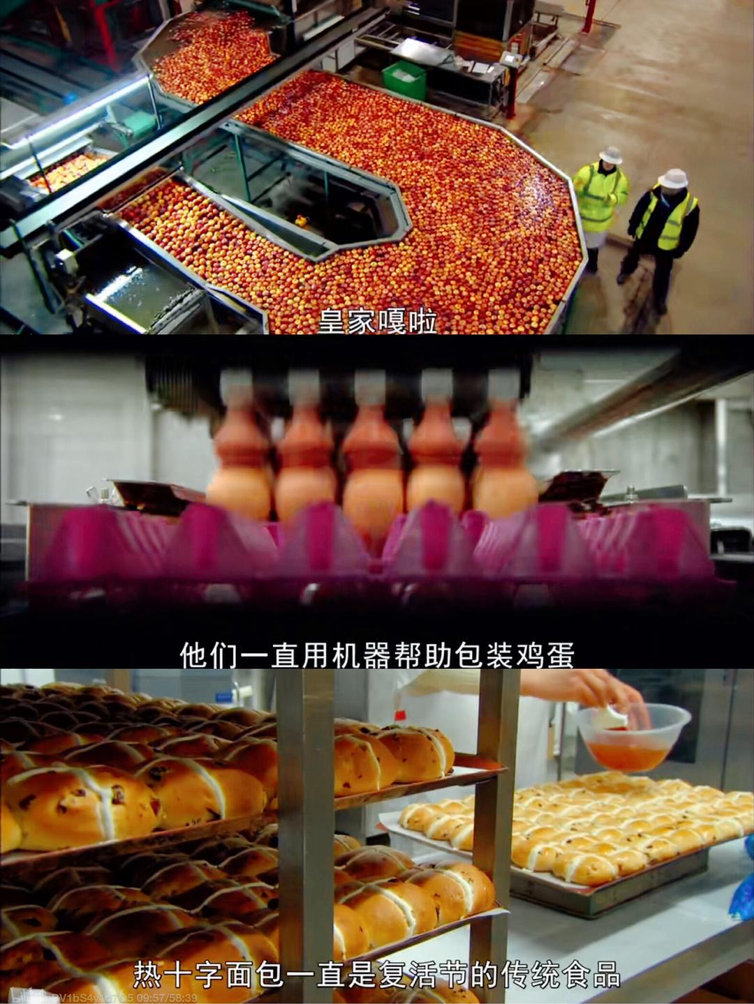 超市大揭秘 Supermarket Secrets