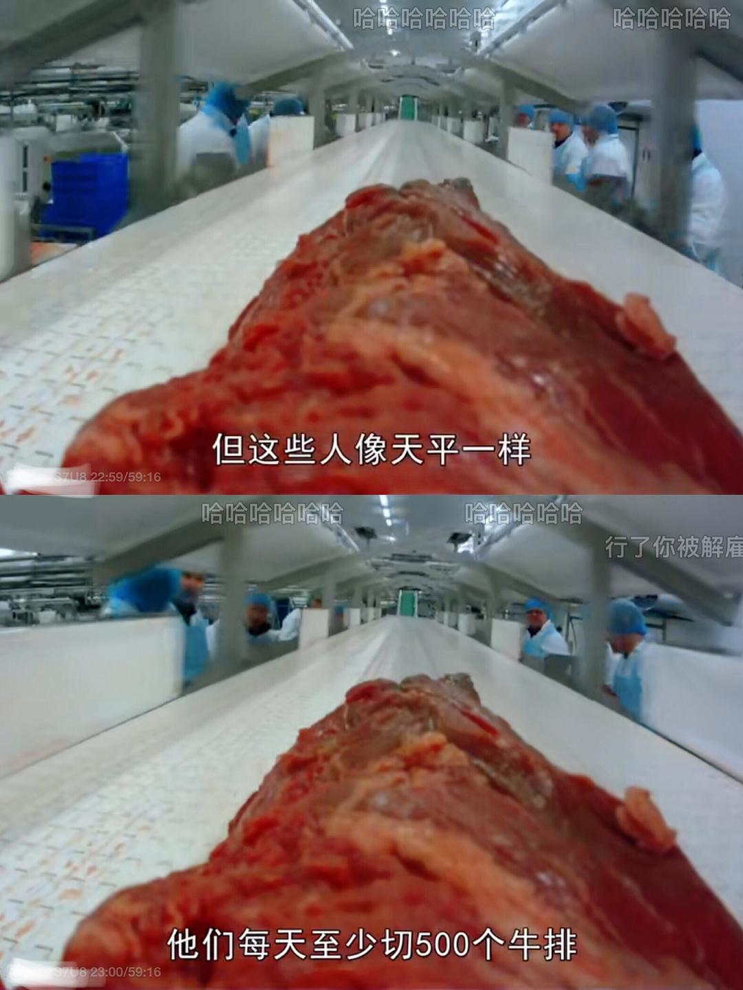 超市大揭秘 Supermarket Secrets