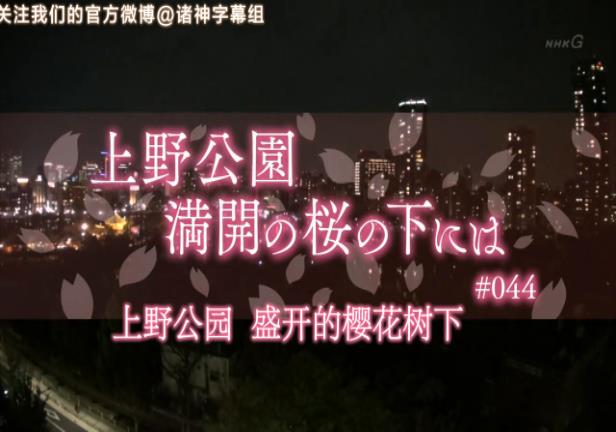 纪实72小时 上野公园 盛开的樱花 ドキュメント72時間 上野公園・満開の桜の下には