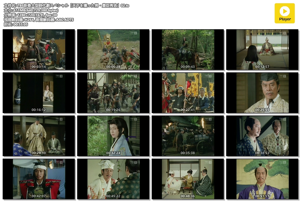 夺取天下的男人:丰臣秀吉 天下を獲った男 豊臣秀吉