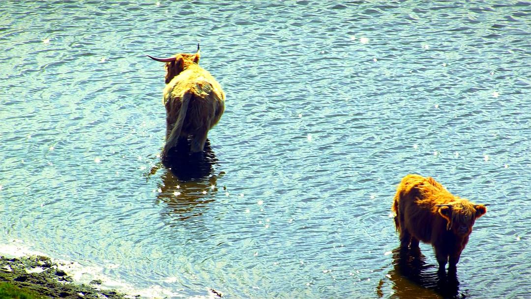 俯瞰德国 第三季 Deutschland von Oben Season 3