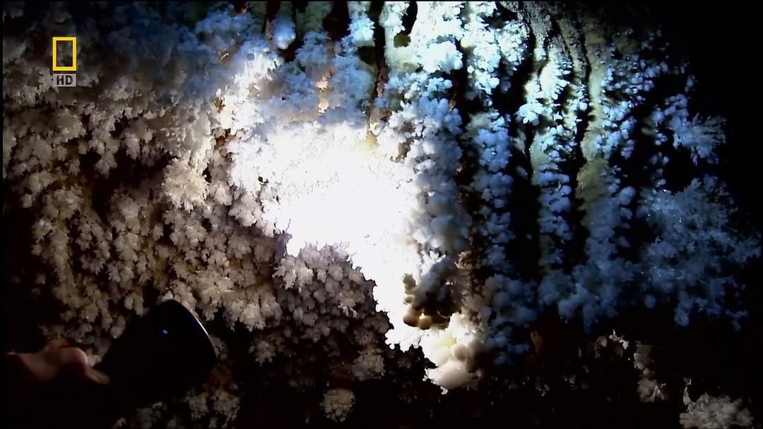 国家地理.守护大自然.庇里牛斯山 Guardians Of Nature: The Pyrenees
