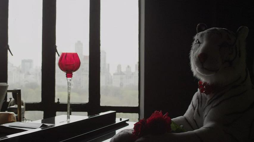 西默简介 Seymour: An Introduction