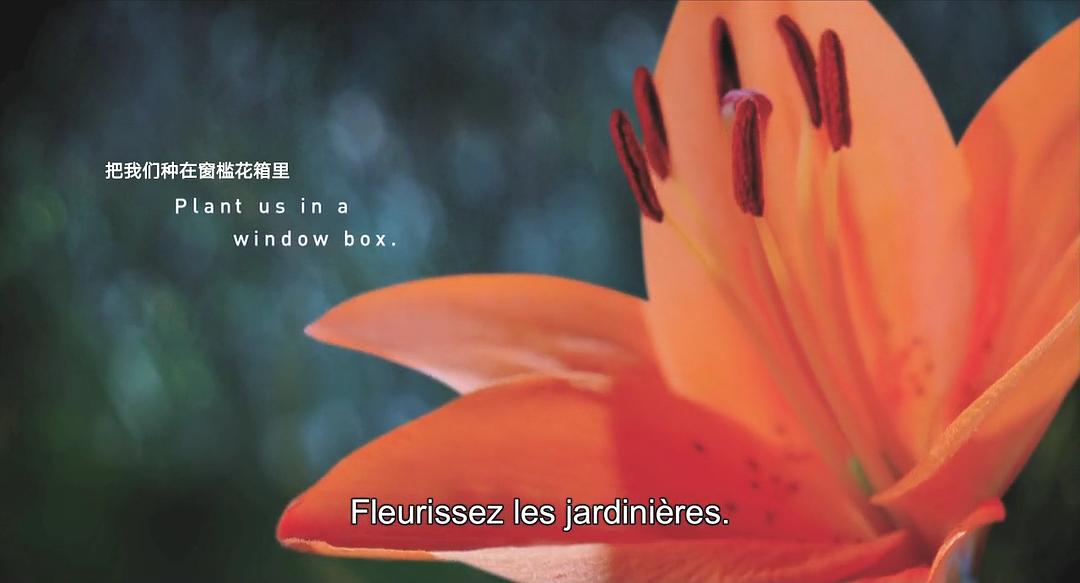 生命之翼 Wings of Life