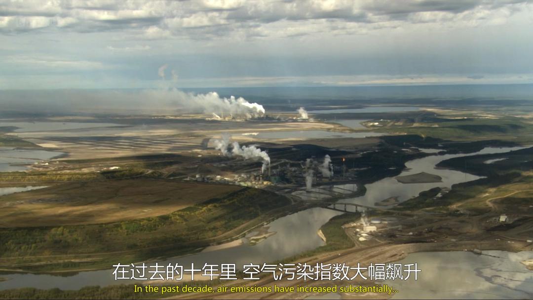 自然世界:狼之风暴 The Natural World: A Wolf Called Storm