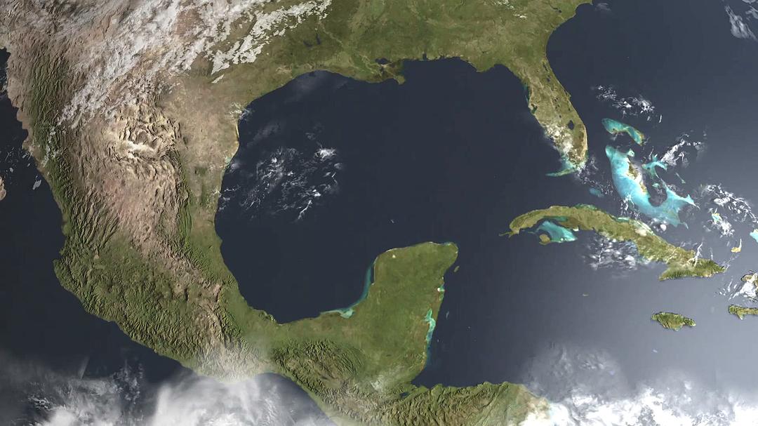 蜂鸟:宝石般的信使 Hummingbirds Jewelled Messengers