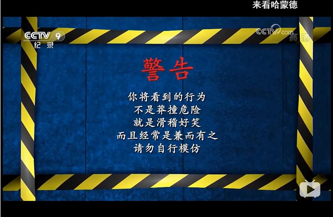 无厘头科学研究所 第一季 Science of Stupid Season 1