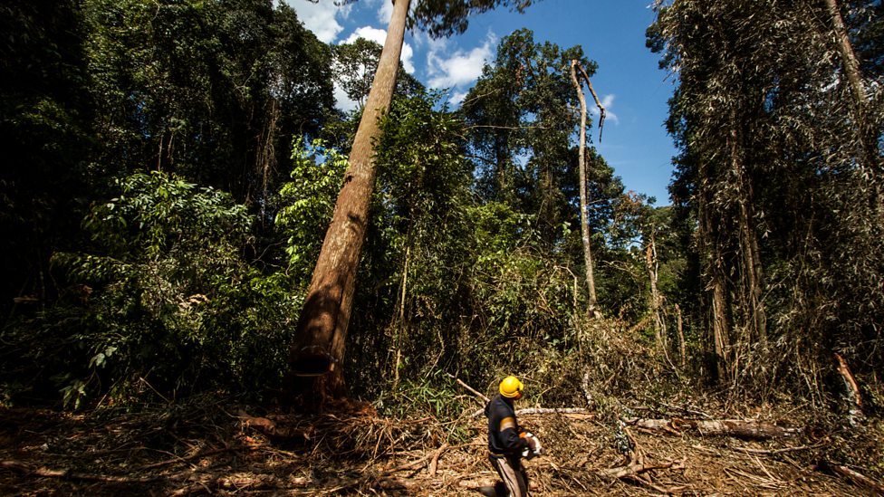 神奇季风 Wonders of the Monsoon