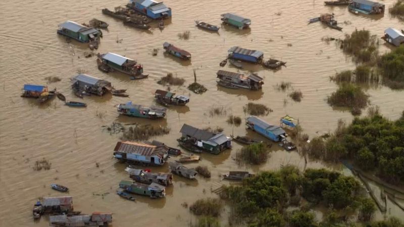 丛林中的亚特兰蒂斯 Jungle Atlantis