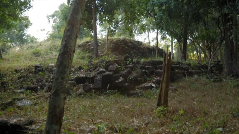 丛林中的亚特兰蒂斯 Jungle Atlantis