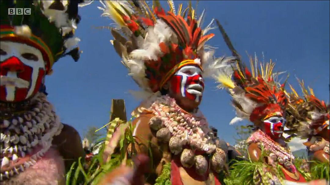 爱登堡的极乐鸟世界 Attenborough's Paradise Birds