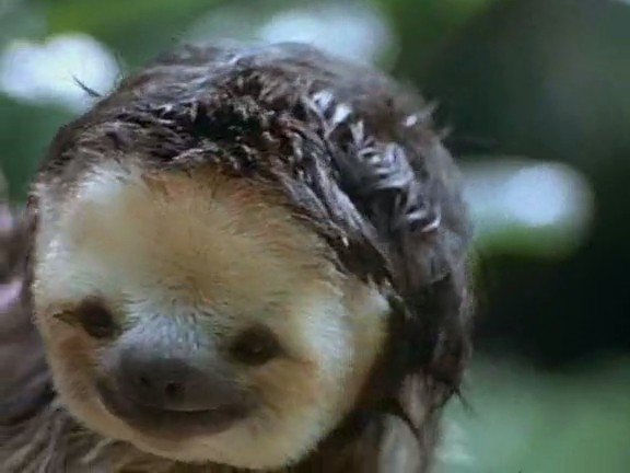 国家地理:时空大冒险 Adventures in Time: The National Geographic Millennium Special