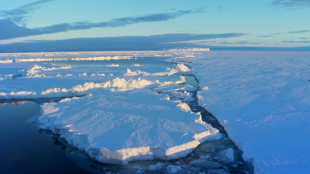 帝企鹅宝宝的生命轮回之旅 Snow Chick – A Penguin's Tale