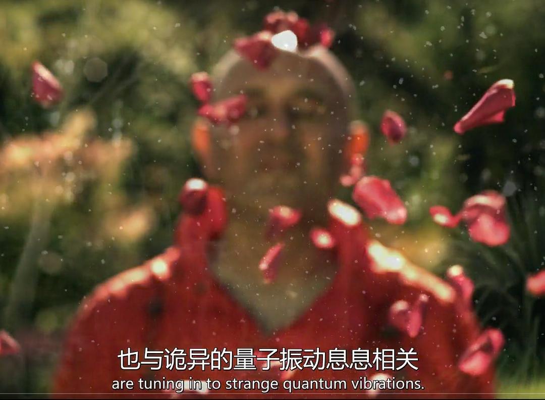 量子力学揭秘 The Secrets of Quantum Physics