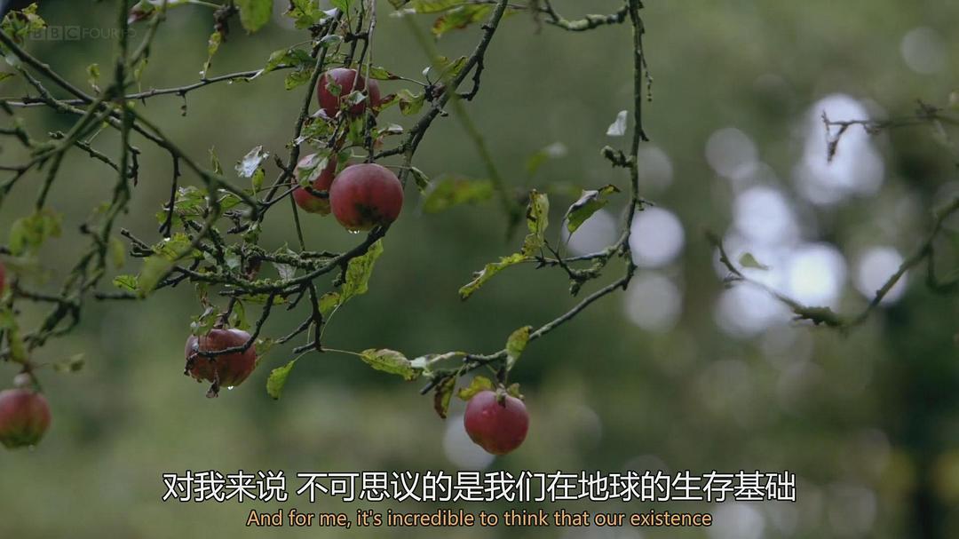 量子力学揭秘 The Secrets of Quantum Physics