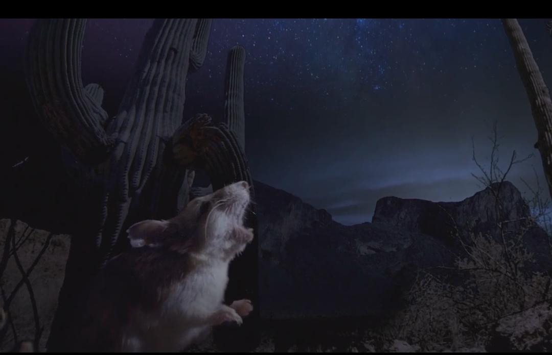 小巨人 3D Tiny Giants 3D