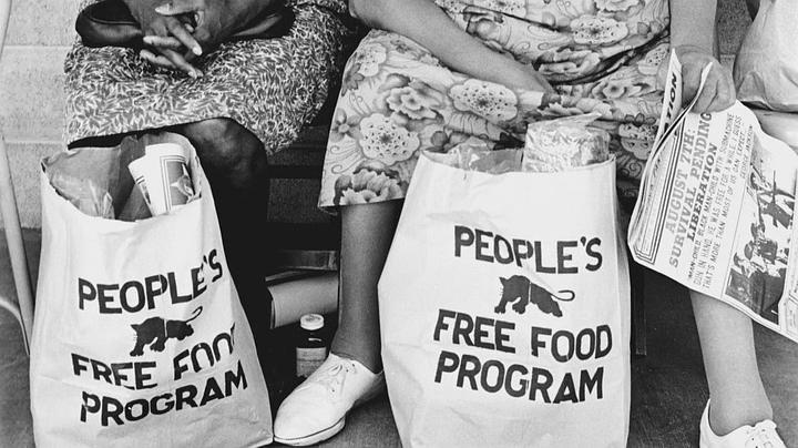 黑豹党:革命先锋 The Black Panthers: Vanguard of the Revolution