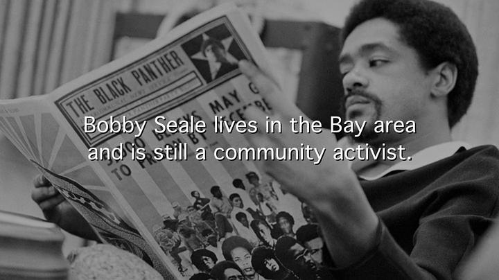 黑豹党:革命先锋 The Black Panthers: Vanguard of the Revolution