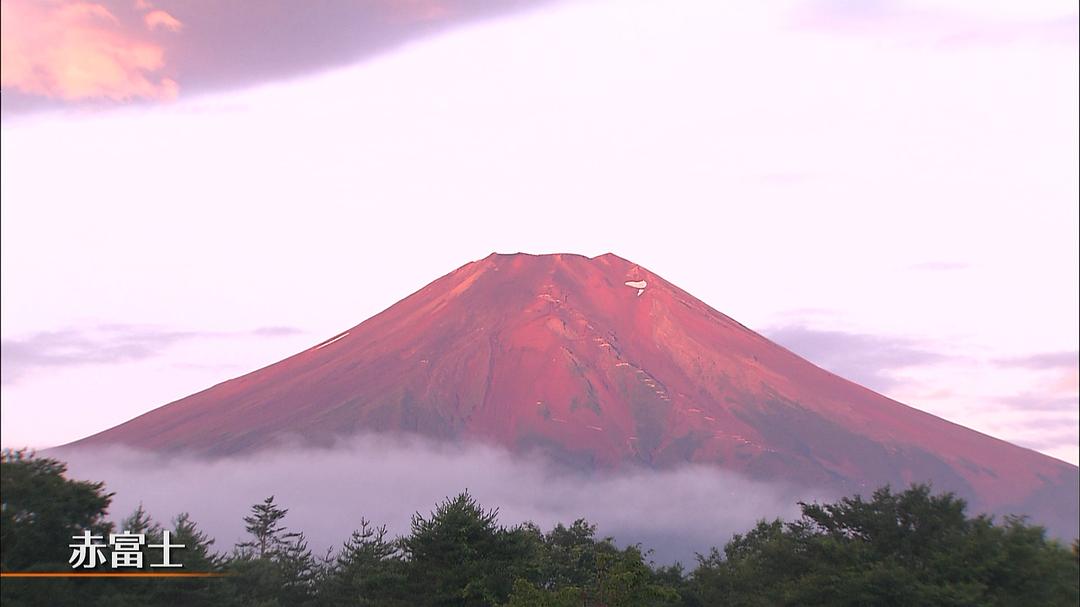THE世界遗产 京都·富士山 THE世界遺産4K 秋スペシャル 京都&富士山
