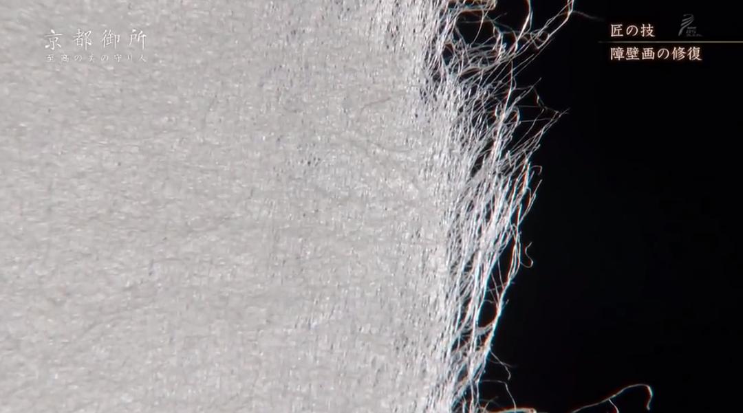 京都御所:不为人知的千年之美 京都御所 ~秘められた千年の美~