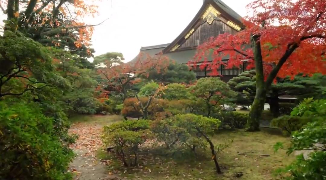 京都御所:不为人知的千年之美 京都御所 ~秘められた千年の美~
