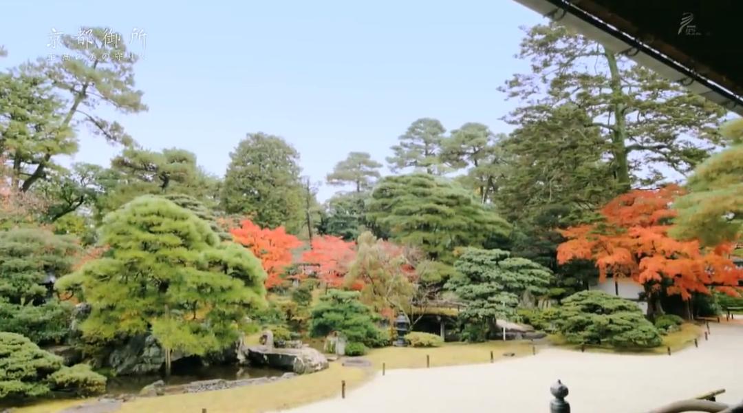 京都御所:不为人知的千年之美 京都御所 ~秘められた千年の美~