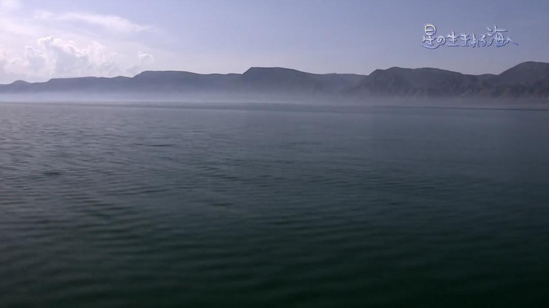 前往星辰诞生之海~中国黄河源之旅~ 星の生まれる海ヘ~中国黄河源流ヘの旅