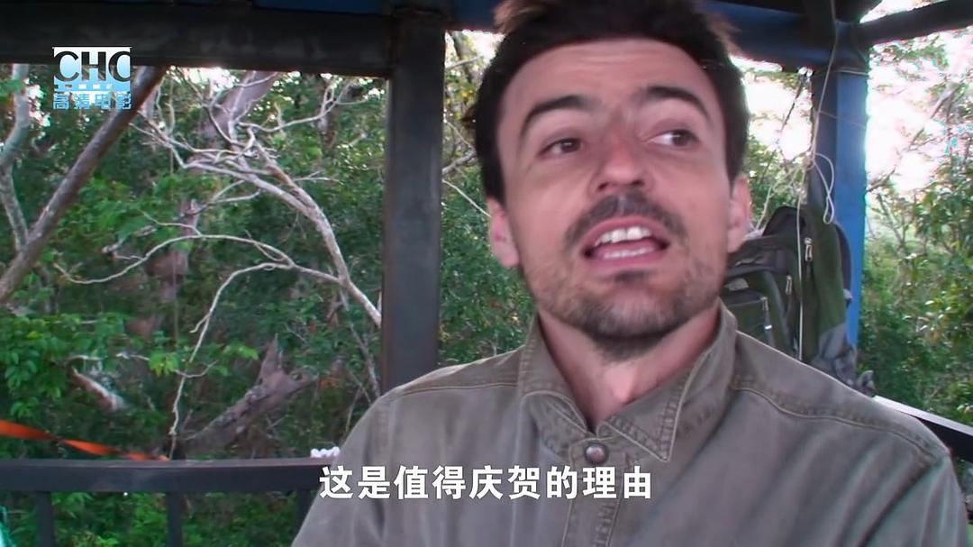 夜行追踪 Night Stalkers