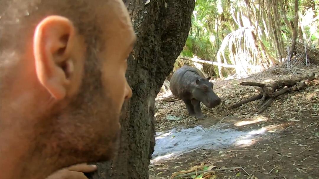 单挑荒野 第一季 Marooned with Ed Stafford Season 1