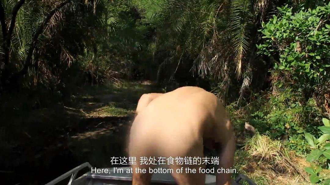 单挑荒野 第一季 Marooned with Ed Stafford Season 1