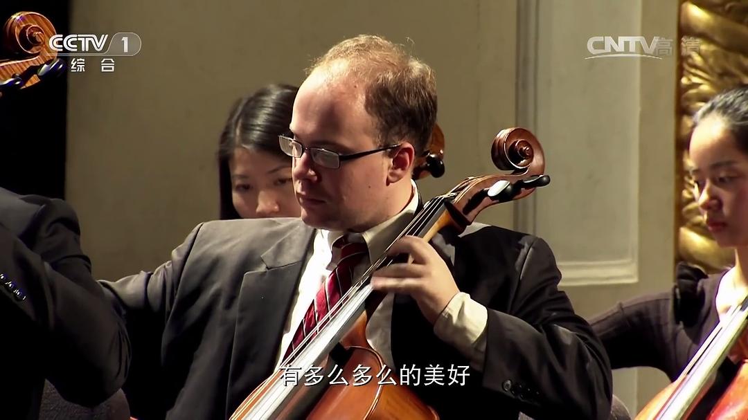 中国人的活法 第一季