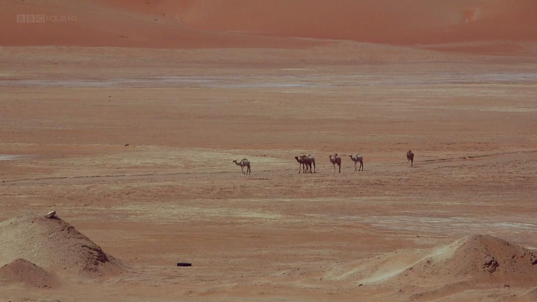 石油地球 BBC Two Planet Oil: The Treasure That Conquered the World