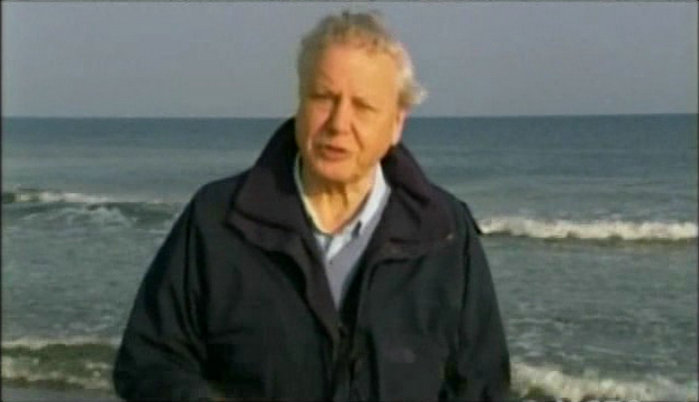 琥珀昆虫 Jewel.of.the.Earth.