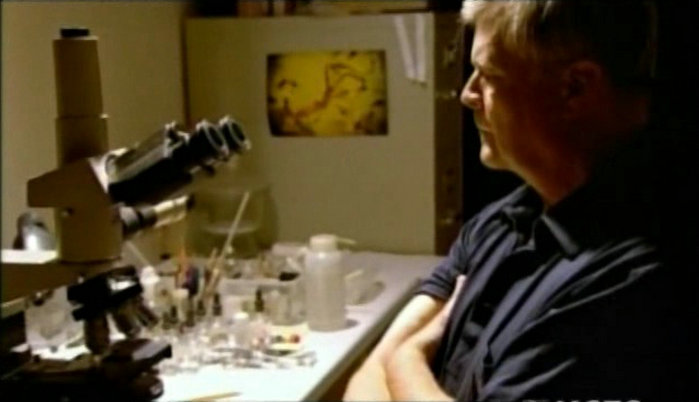 琥珀昆虫 Jewel.of.the.Earth.