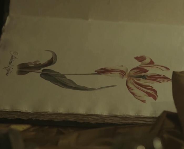 郁金香效应 Terra Mater: Der Tulpen-Crash